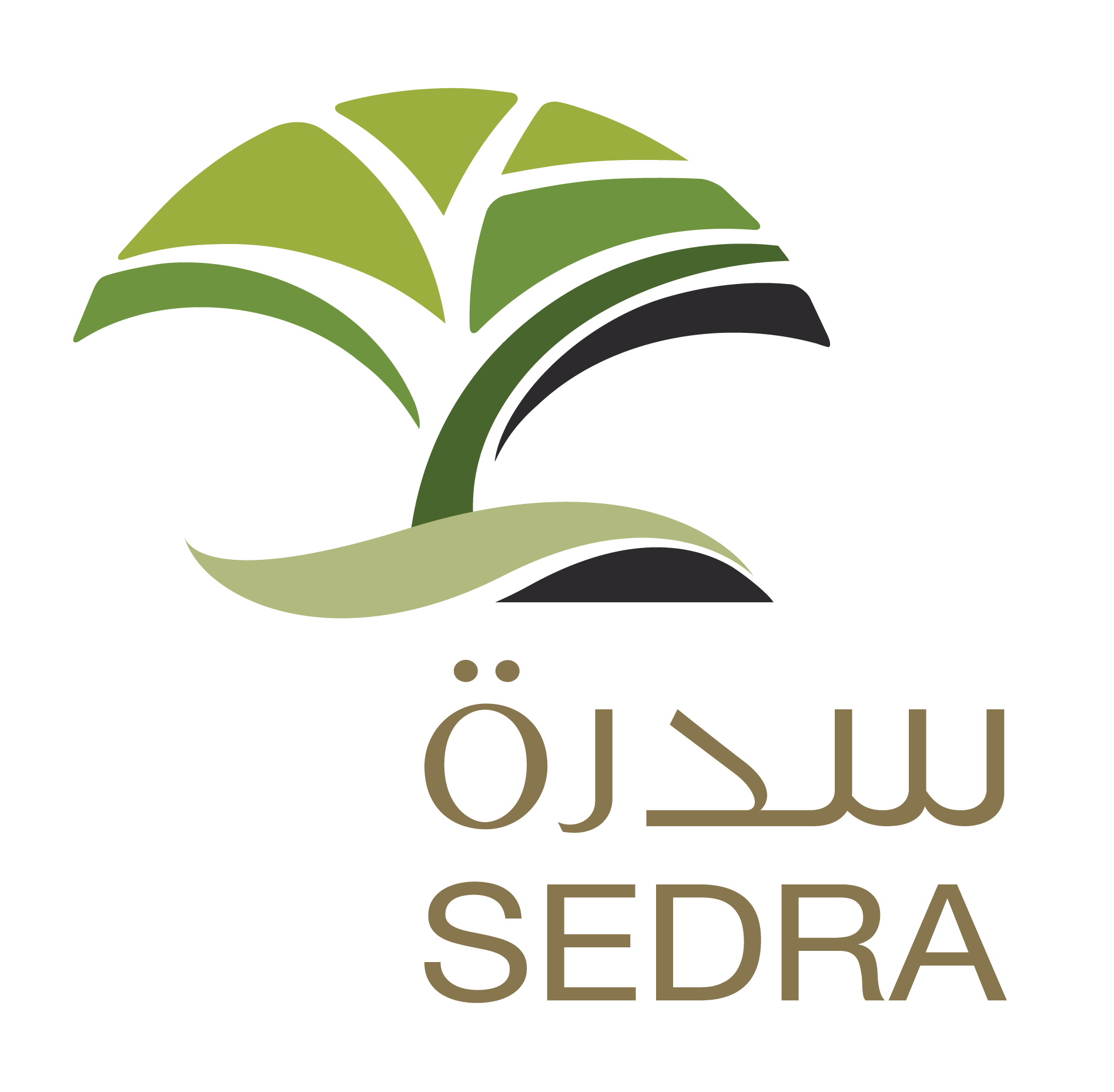 The ritz-carlton doha 5*. Sedra. Sedra residences doha. Прирельсовые вкладыши edilon sedra. Sedra.